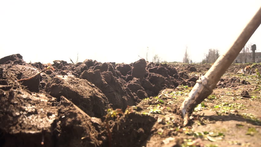 Soil processing. Soil processing
