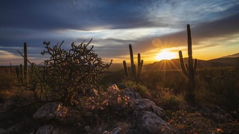 Three axis time lapse clip of the sun setting over Tucson, Arizona. Acacia flowers and saguaro cactus are visible as the camera moves.