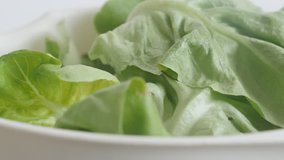 Leaf vegetable lettuce on pile slow tilt 4K 2160p 30fps UltraHD footage - Lactuca sativa salad close-up 3840X2160 UHD tilting video