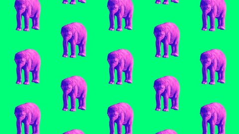 Minimal Motion design art.  Purple Elephant on a green background