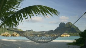 Empty hammock blowing in breeze on tropical beach / Bora Bora, French Polynesia