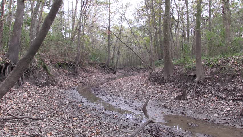 Wetland Acadiana Park Nature Station Dry Season Dry Drought