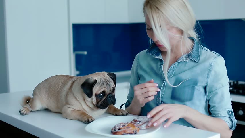The Owner Teasing the Dog Stock Footage Video (100% Royalty-free)  1009520072 | Shutterstock
