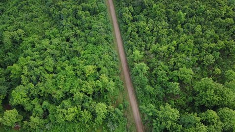 Aerial Drone - Dirt Road & Dense Jungle in Laos