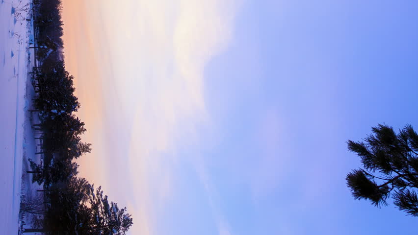 Sunrise over the farmhouses. A serene winter landscape unfolds in a rural village setting as the sun rises above snow-covered farmhouses and a dense evergreen forest. The scene is dominated by a brilliant golden sun emerging on the horizon, casting warm amber light across a vast expanse of deep blue sky streaked with soft cirrus clouds. The ground is blanketed in pristine white snow, with dark silhouettes of pine and spruce trees lining the left edge of the frame and a solitary conifer visible on the right. Wisps of smoke or mist rise gently from the tree line, suggesting habitation in the cold morning air. The composition is framed vertically, emphasizing the dramatic height of the sky and the gradual color transition from deep blue to golden yellow near the sun. The atmosphere is tranquil and untouched, capturing the quiet beauty of a frozen countryside at dawn. Time-lapse motion reveals the slow drift of clouds and shifting light as the winter day begins. Vertical video.