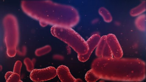 3d animation of flying over group of bacterias. Medical video background