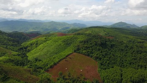 Aerial Drone - Dense Lush Jungle in Laos