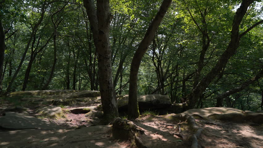 Beautiful hike across top of sunlit ledges in Cuyahoga Valley National Park