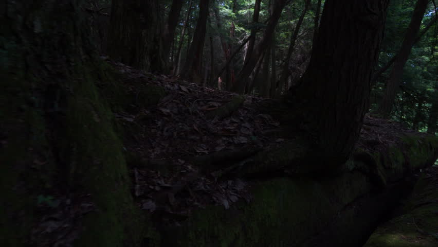 On top of Cuyahoga Valley National Park Ledges