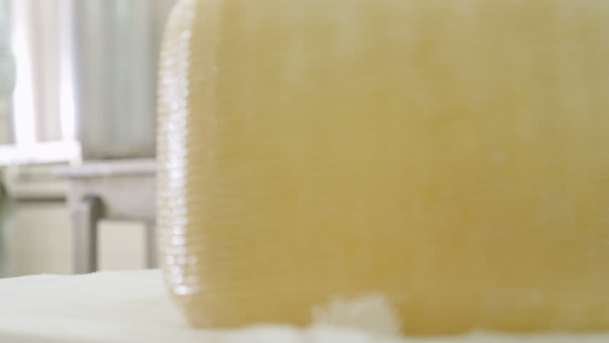 making cheese in factory- close up