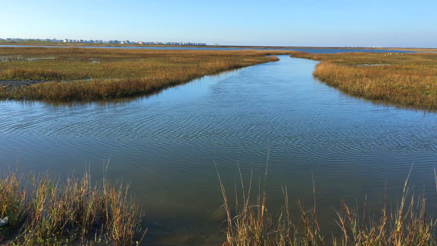 Fragile Salt Marsh near Galveston, Texas 4K