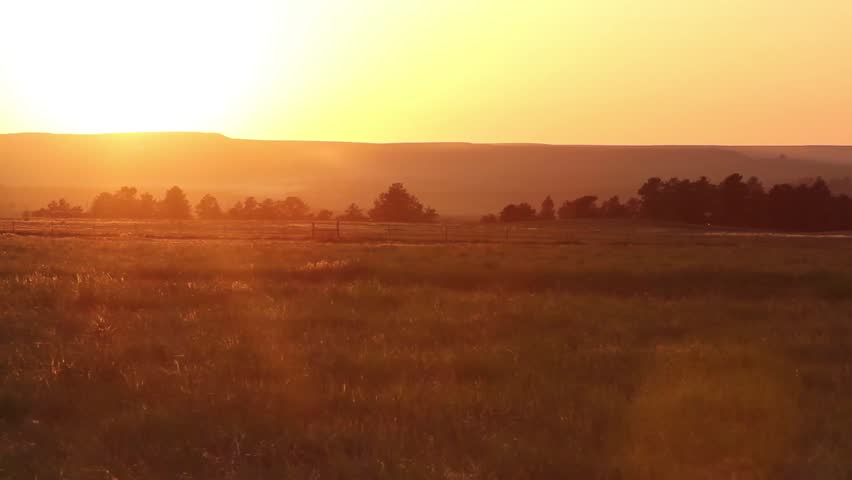 Grasses wave in the breeze during sunset over the Montana prairie
