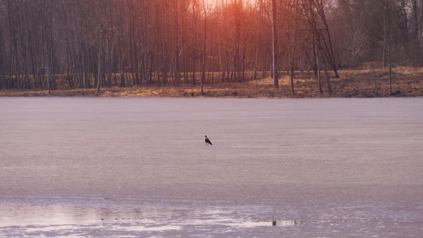 Last ice on water in spring