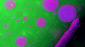 Beautiful Abstract neon colorful background with bright bubbles of vivid paint in uv lights . Beauty backdrop design. Multicolored colorful ink bubbles moving underwater close-up. 4K UHD video