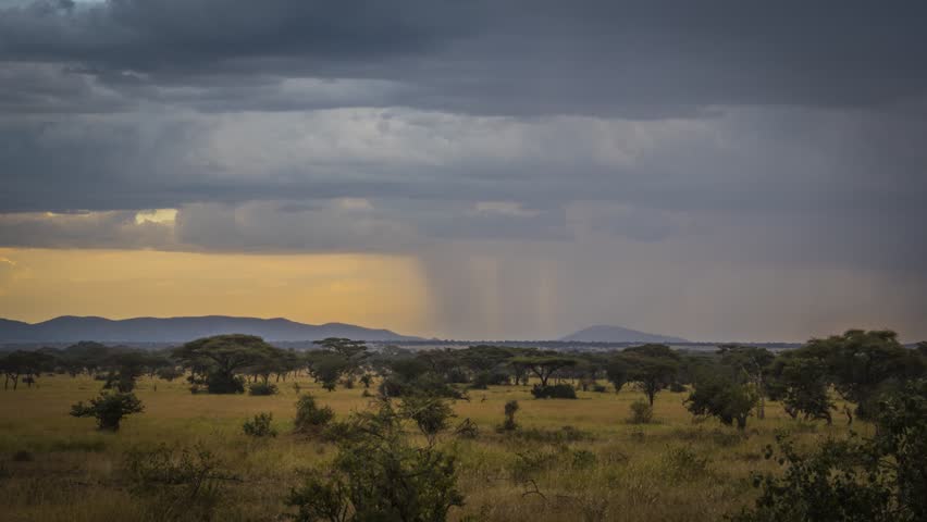 Timelapse of moving rainclouds over African savannah with animals in the background