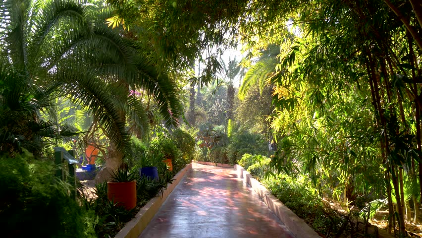 Majorelle Garden in Marrakech, Morocco. Gimbal stabilized tracking shot