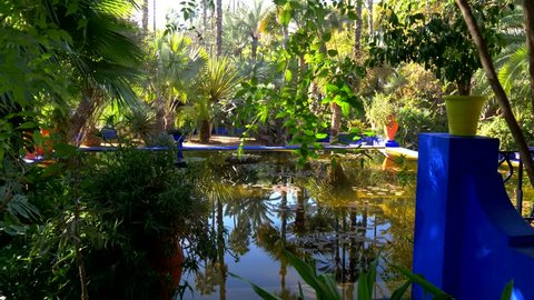 Pond in Majorelle botanical and artist's landscape garden. Marrakech, Morocco. 4K, UHD