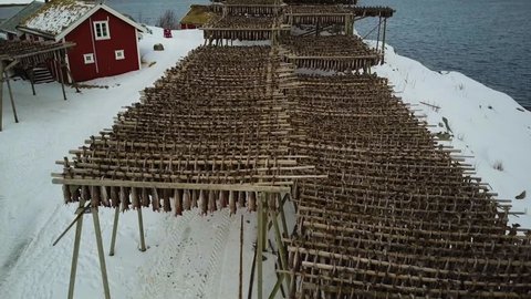 4k Drone footage - Racks of dried cod fish in Reine, Norway.  Lofoten Islands