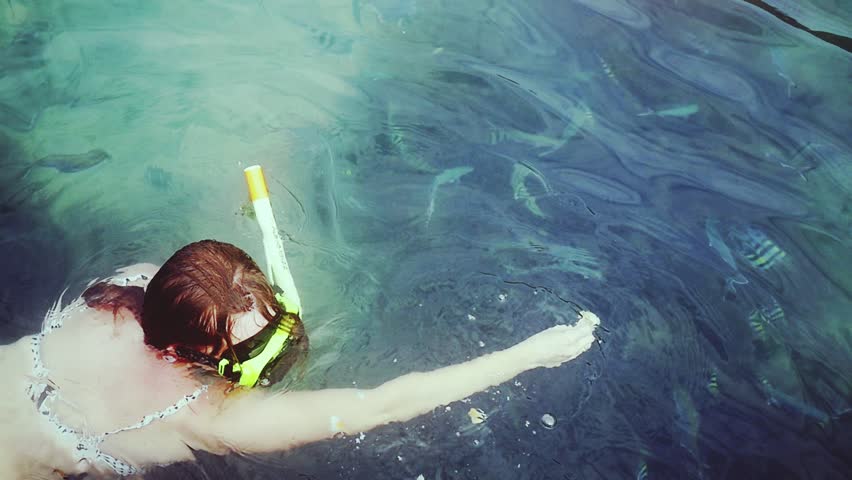 Top of view of young woman in bikini snorkeling in mask feeding fish in the sea. slow motion. 1920x1080 | Shutterstock HD Video #1009701989