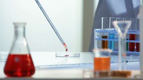 Lab technician adds a few drops of a red chemical from a pipette to a petri dish