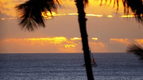 Professional video of sailing boat at the sunset in Hawaii in 4k slow motion 60fps