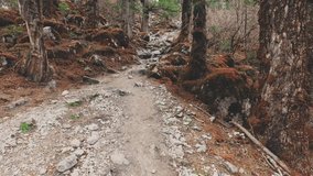 A POV video of an hiker walking on trekking trail in Nepal