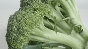 Floret of organic broccoli Brassica oleracea slow tilt footage on white