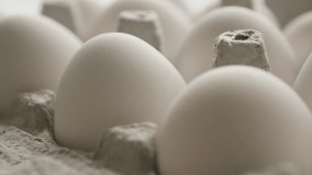 White chicken eggs  packed close-up tilting footage