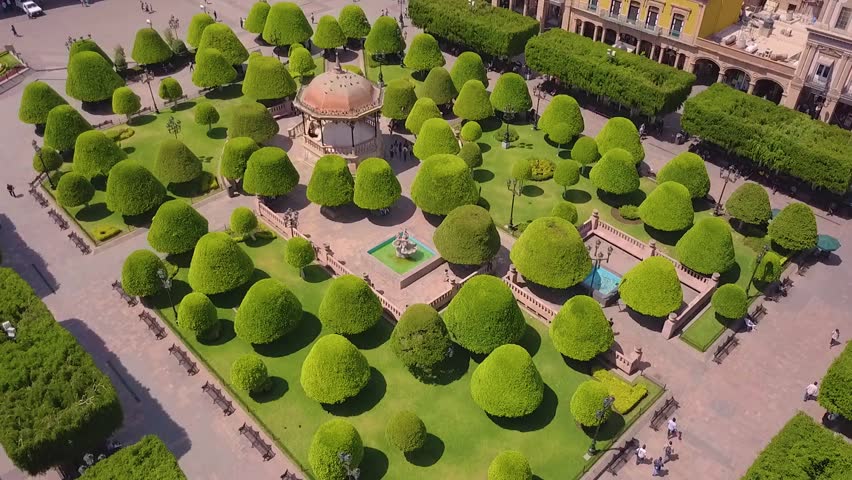 Overflight of the Main Square in the center of Leon full of trees very well pruned forming beautiful figures