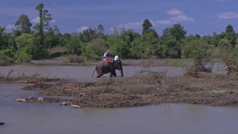 European tourist couple rides on decorated elephant back in river water against tropical forest