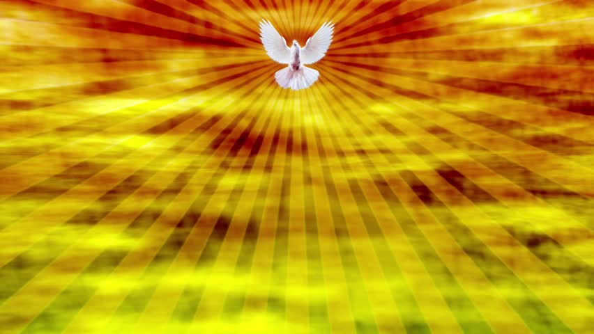 White Dove Religious Holy Spirit Motion Background Royalty-Free Stock Footage #1009816592