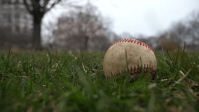 Short slow motion 50% half speed video clip of a Caucasian male hand picking up a used leather baseball with red laces laying on the grass from a low vantage point making a good sports background.