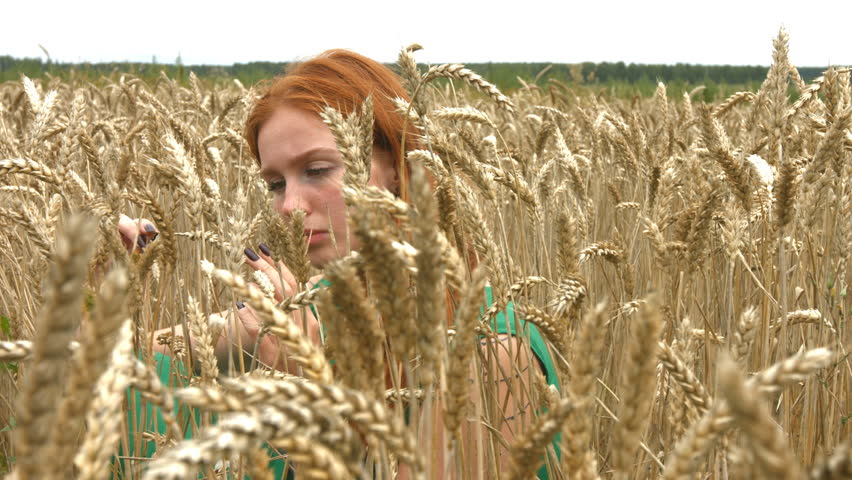 Walk on the wheat field.

Slow motion. A lovely red-haired girl is sitting in a field of ripe wheat.
The camera moves from right to left.