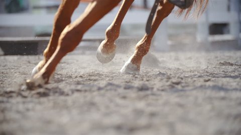 Horse hooves run through sand in slow motion 4K. Long shot tracking of horse hooves in focus while plow through sand while galloping. Close up shot.