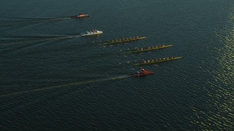 Boston, USA - November, 2017: Aerial view of competition racing in rowing boats on the Charles river Massachusetts America