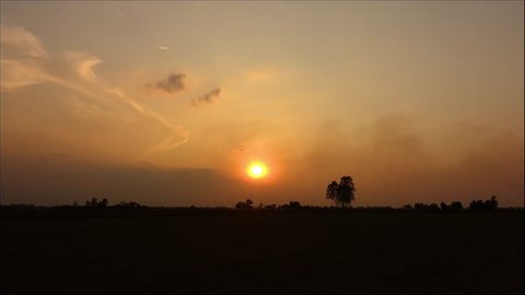 4K-Time lapse Dramatic golden light sunset. Silhouetted trees against bonfire-red and sunflame-golden sky.