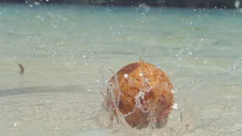SLOW MOTION, LOW ANGLE, CLOSE UP: Coconut drops from palm tree and into shallow water near sunny tropical island, sending water droplets flying everywhere. Coconut falls on beautiful white sandy beach