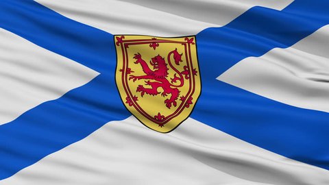 Nova Scotia closeup flag, city of Canada, realistic animation seamless loop - 10 seconds long