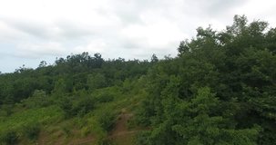 Aerial rising shot of people climbing hills in green forest cloudy gray sky Dense jungle tall trees people climbing on hills under natural light gray sky no color correction raw footage