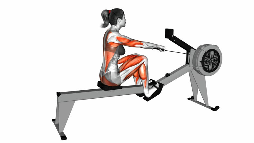 rowing exercise