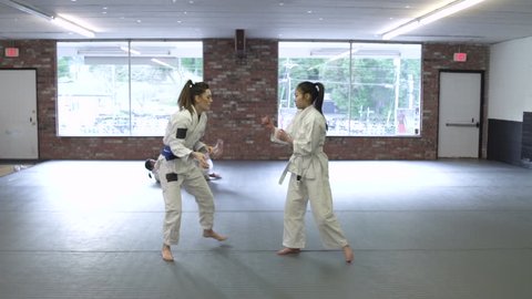 Young women practicing Jiu-jitsu