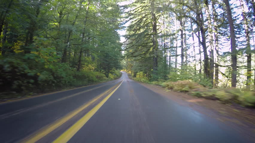 Driving Down Empty Road, During Autumn In Oregon, Usa Royalty-Free Stock Footage #1009971791