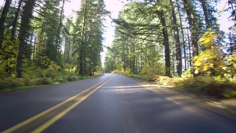 Driving Down Empty Road, During Autumn In Oregon, Usa