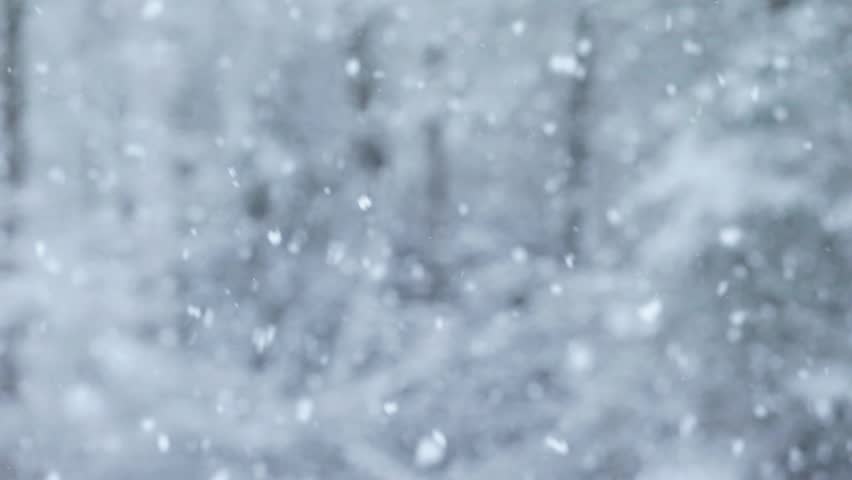 A heavy snowfall in New England with a forest blurred in the background. Royalty-Free Stock Footage #1009973567