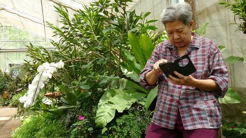 asian elder woman holding mobile phone in garden. elderly female texting message, using app with smartphone in park. senior use cellphone to connect with social network