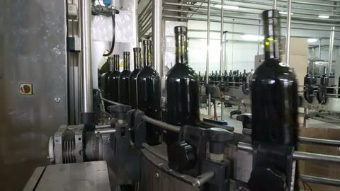 Bottling and sealing conveyor line at winery factory