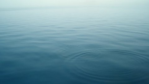 Sea surface. Calm down on the water. Texture a small ripple. Abandoned stones in the sea and circles from them on the surface of the water. The background of a calm sea at sunset in  blue-yellow light
