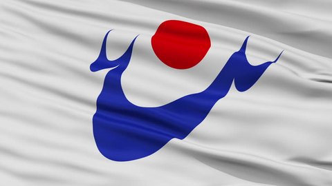 Hioki close up flag, Kagoshima prefecture, realistic animation seamless loop - 10 seconds long