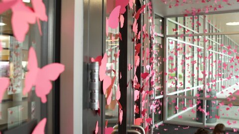 Students decorating their school with butterfly cutouts