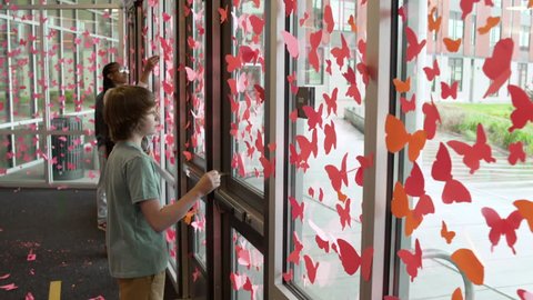 Students decorating their school with butterfly cutouts